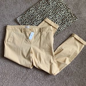 Loft Pale Yellow Cuffed Capri Pants Size 12